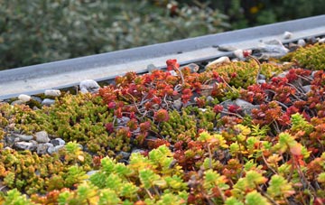 the cost of Nigg Ferry green roof installation