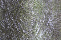 Nigg Ferry fibreglass roof work